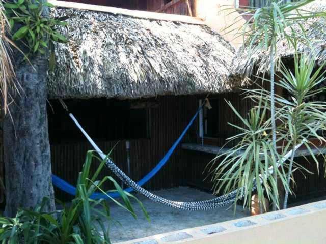 Mayan Hostel Cancun Ngoại thất bức ảnh