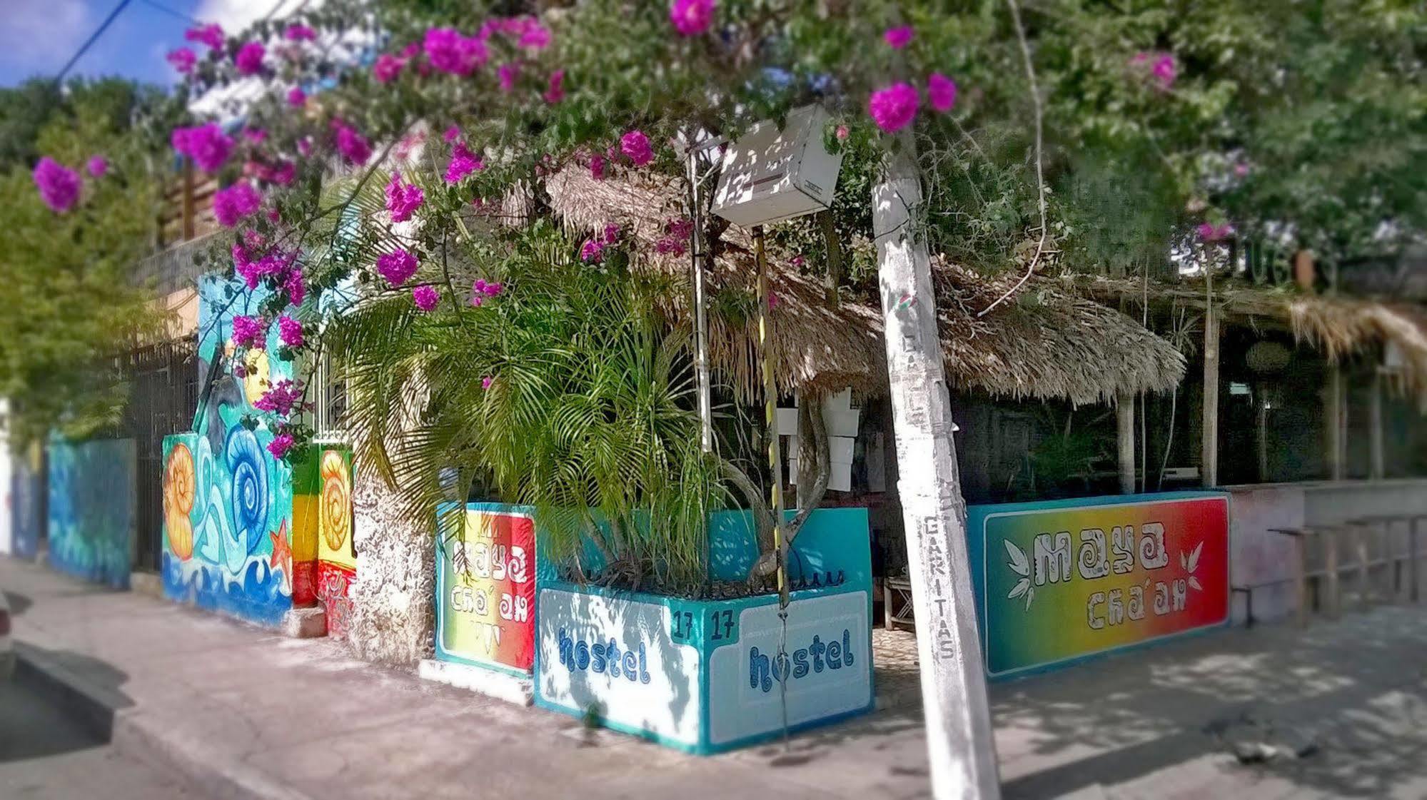 Mayan Hostel Cancun Ngoại thất bức ảnh